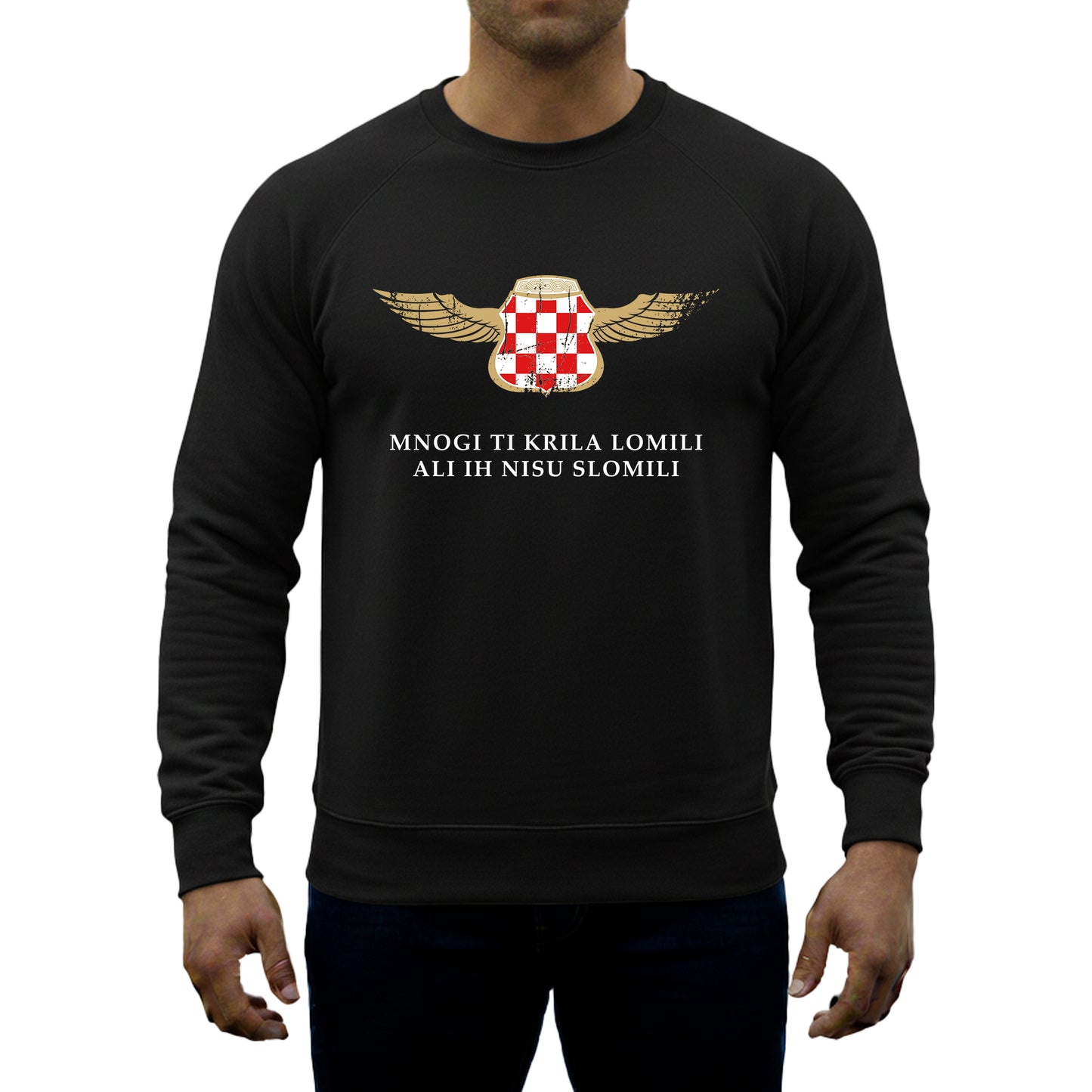 Vesta "Mnogi ti krila lomili"